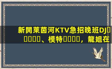 新開萊茵河KTV急招晚班DJ、模特，龍姐在杭州帶你上班